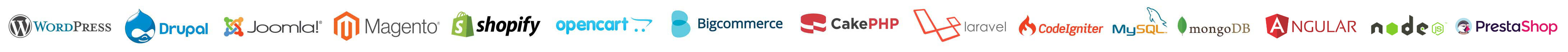 Best Dynamic Web Design & Development Company in Nepal